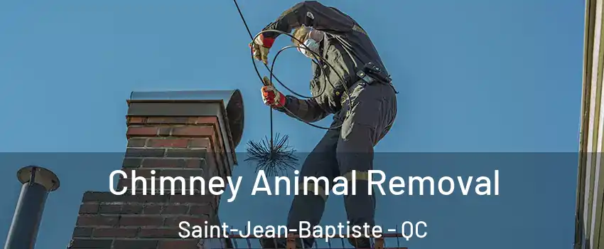  Chimney Animal Removal Saint-Jean-Baptiste - QC