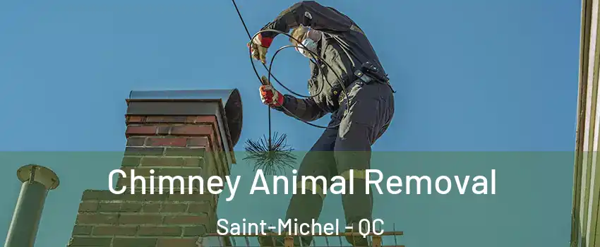  Chimney Animal Removal Saint-Michel - QC