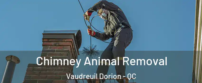  Chimney Animal Removal Vaudreuil Dorion - QC