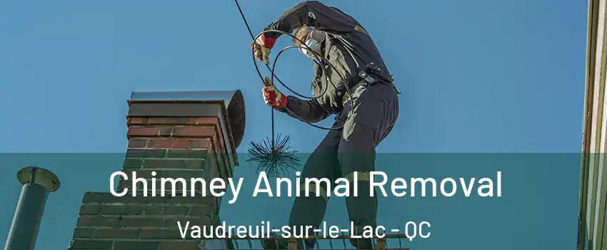  Chimney Animal Removal Vaudreuil-sur-le-Lac - QC
