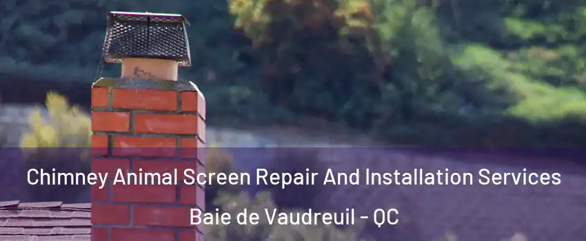  Chimney Animal Screen Repair And Installation Services Baie de Vaudreuil - QC