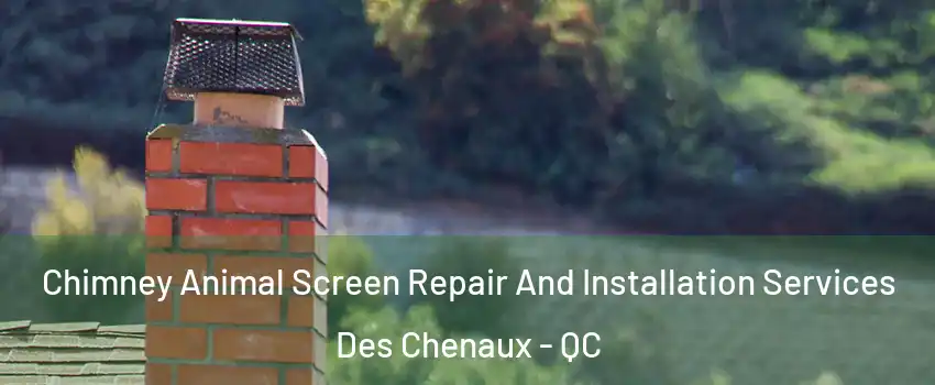  Chimney Animal Screen Repair And Installation Services Des Chenaux - QC