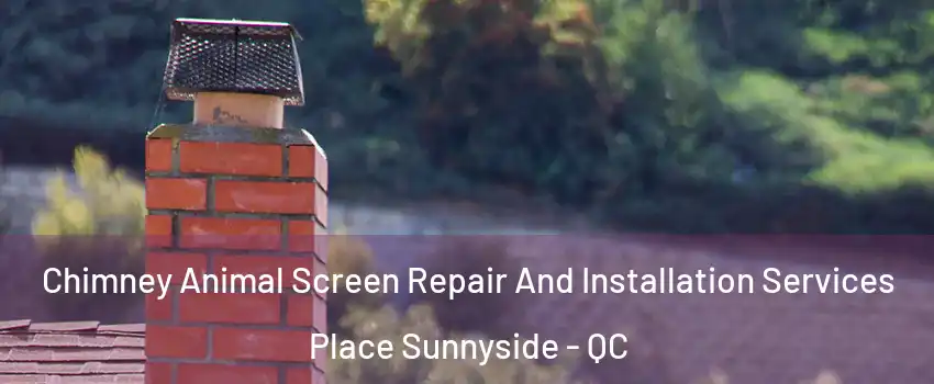 Chimney Animal Screen Repair And Installation Services Place Sunnyside - QC