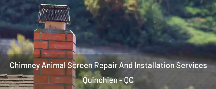  Chimney Animal Screen Repair And Installation Services Quinchien - QC