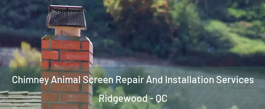  Chimney Animal Screen Repair And Installation Services Ridgewood - QC