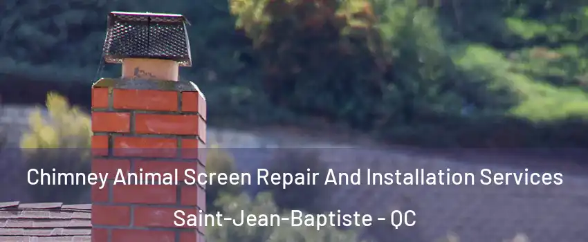  Chimney Animal Screen Repair And Installation Services Saint-Jean-Baptiste - QC