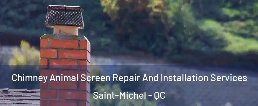  Chimney Animal Screen Repair And Installation Services Saint-Michel - QC