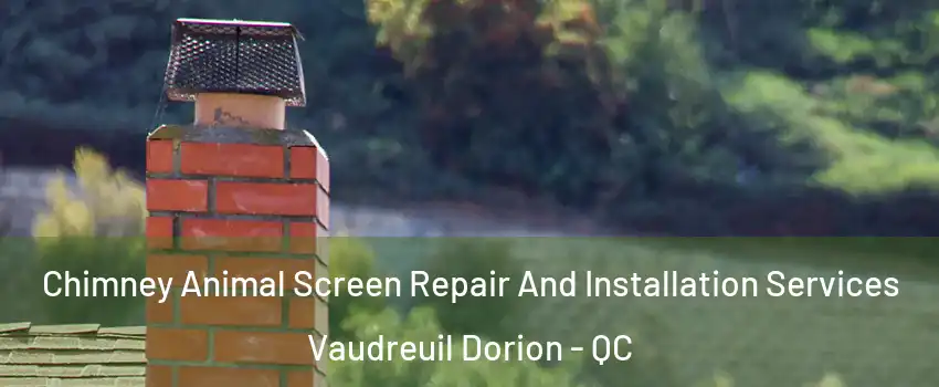  Chimney Animal Screen Repair And Installation Services Vaudreuil Dorion - QC