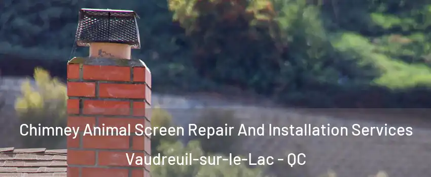  Chimney Animal Screen Repair And Installation Services Vaudreuil-sur-le-Lac - QC