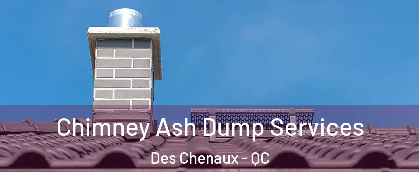  Chimney Ash Dump Services Des Chenaux - QC