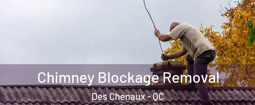  Chimney Blockage Removal Des Chenaux - QC