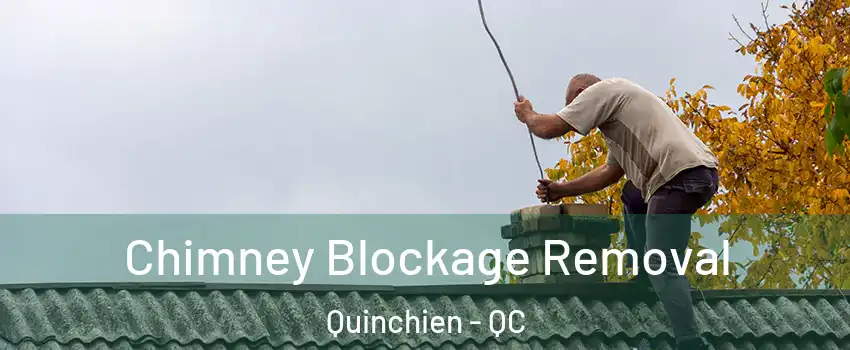 Chimney Blockage Removal Quinchien - QC