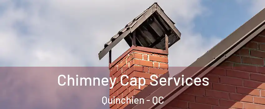  Chimney Cap Services Quinchien - QC