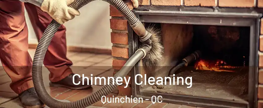  Chimney Cleaning Quinchien - QC