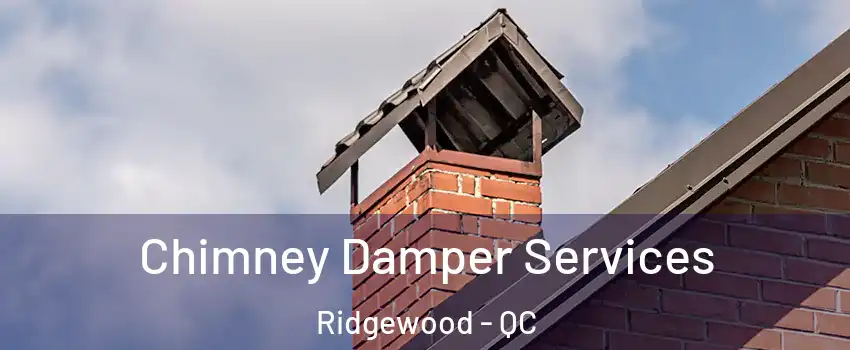 Chimney Damper Services Ridgewood - QC