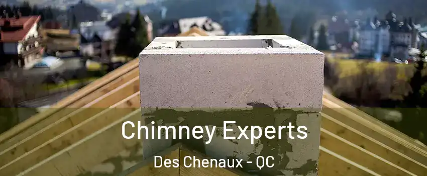  Chimney Experts Des Chenaux - QC