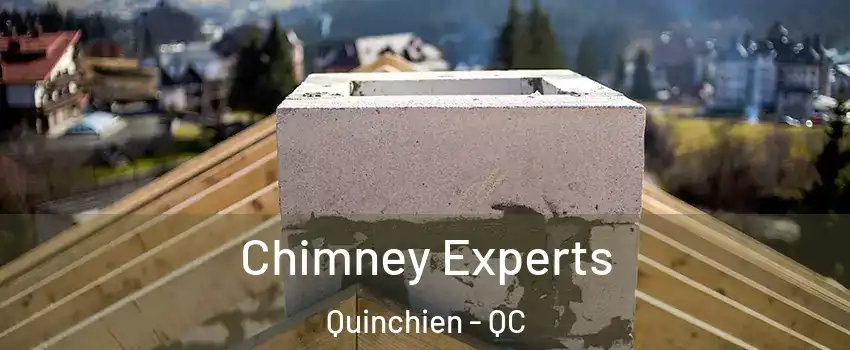  Chimney Experts Quinchien - QC