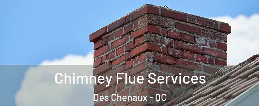  Chimney Flue Services Des Chenaux - QC