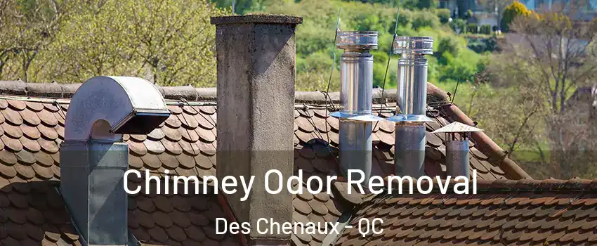  Chimney Odor Removal Des Chenaux - QC