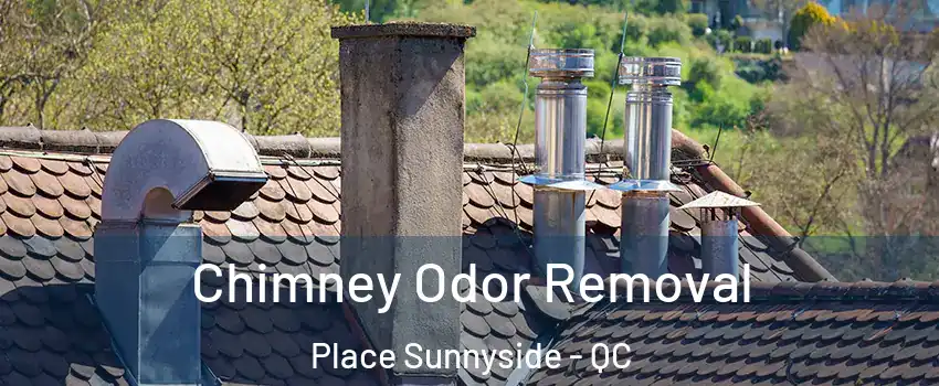  Chimney Odor Removal Place Sunnyside - QC