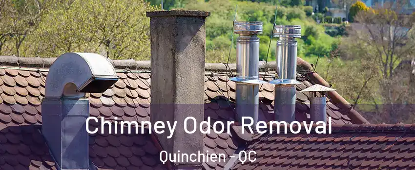  Chimney Odor Removal Quinchien - QC