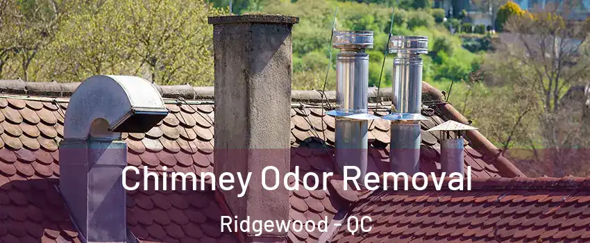  Chimney Odor Removal Ridgewood - QC