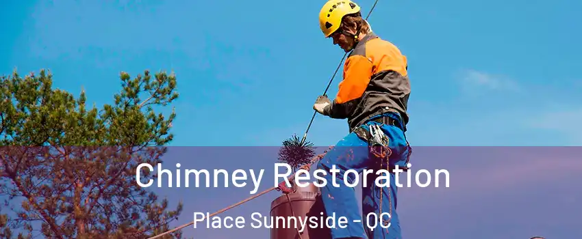  Chimney Restoration Place Sunnyside - QC