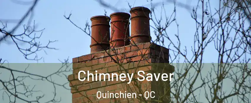  Chimney Saver Quinchien - QC