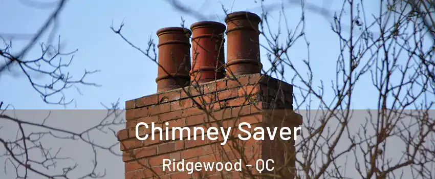  Chimney Saver Ridgewood - QC