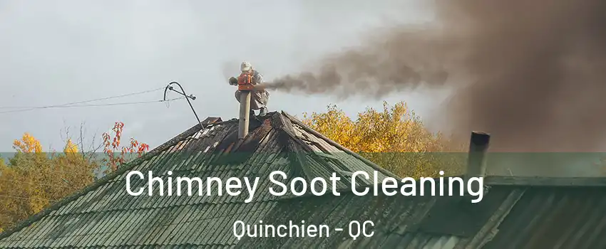  Chimney Soot Cleaning Quinchien - QC