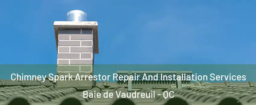  Chimney Spark Arrestor Repair And Installation Services Baie de Vaudreuil - QC