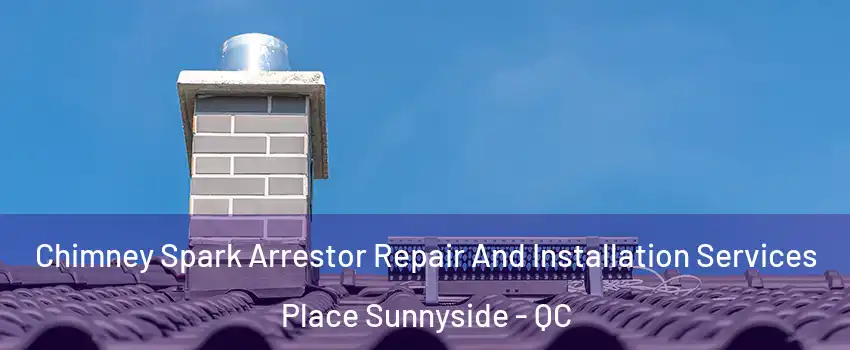  Chimney Spark Arrestor Repair And Installation Services Place Sunnyside - QC
