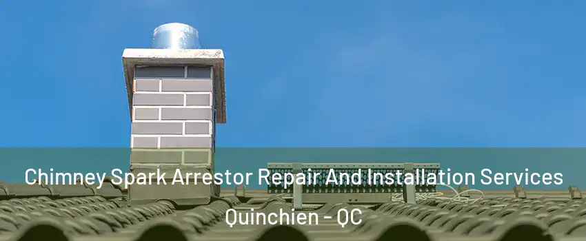  Chimney Spark Arrestor Repair And Installation Services Quinchien - QC