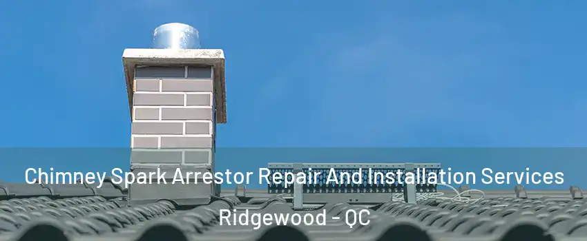  Chimney Spark Arrestor Repair And Installation Services Ridgewood - QC