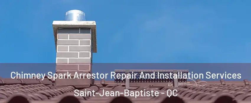  Chimney Spark Arrestor Repair And Installation Services Saint-Jean-Baptiste - QC