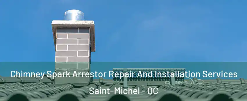  Chimney Spark Arrestor Repair And Installation Services Saint-Michel - QC