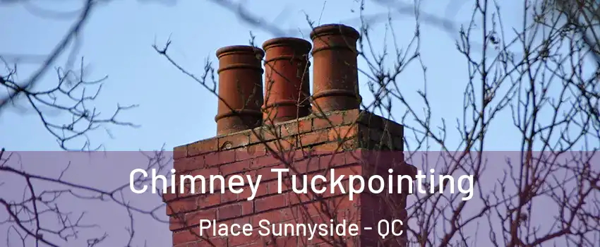  Chimney Tuckpointing Place Sunnyside - QC