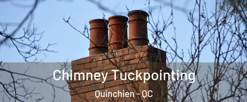  Chimney Tuckpointing Quinchien - QC