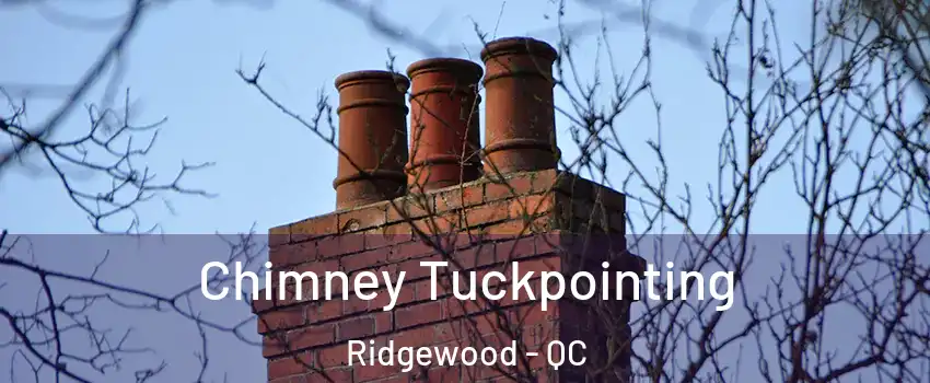  Chimney Tuckpointing Ridgewood - QC