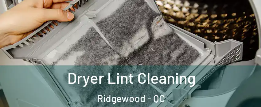  Dryer Lint Cleaning Ridgewood - QC