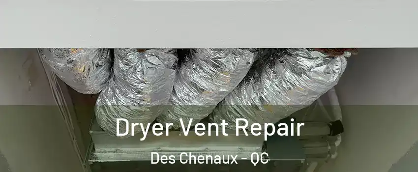  Dryer Vent Repair Des Chenaux - QC