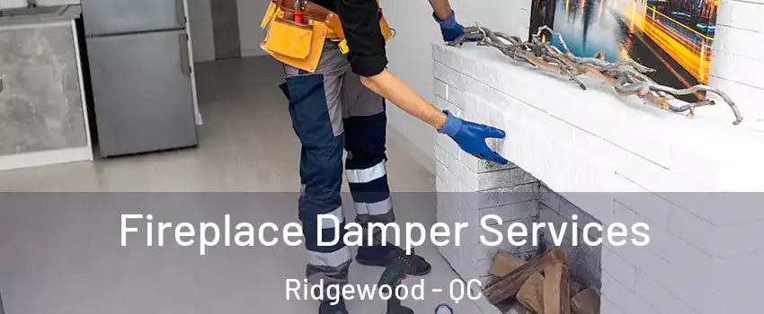  Fireplace Damper Services Ridgewood - QC