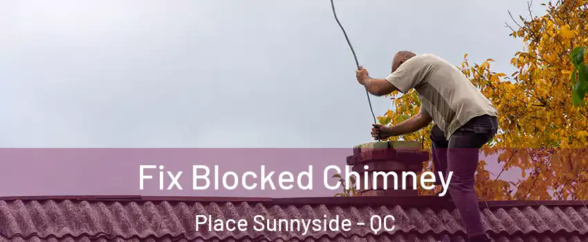  Fix Blocked Chimney Place Sunnyside - QC