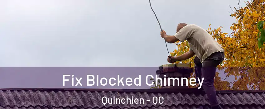  Fix Blocked Chimney Quinchien - QC