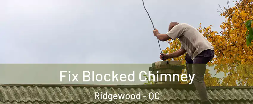  Fix Blocked Chimney Ridgewood - QC