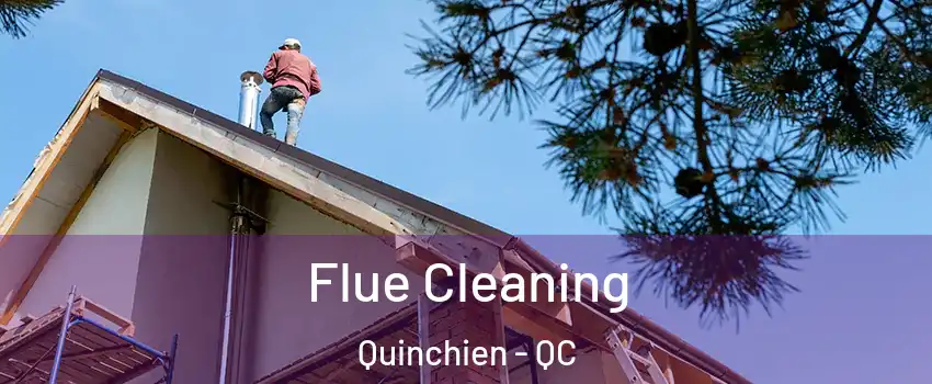  Flue Cleaning Quinchien - QC
