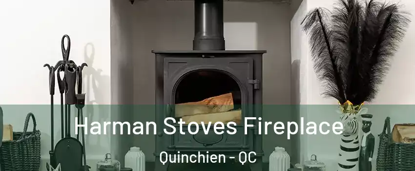  Harman Stoves Fireplace Quinchien - QC