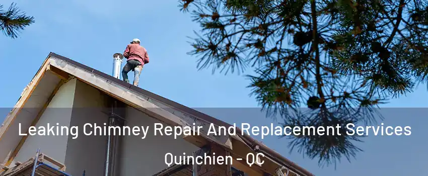  Leaking Chimney Repair And Replacement Services Quinchien - QC