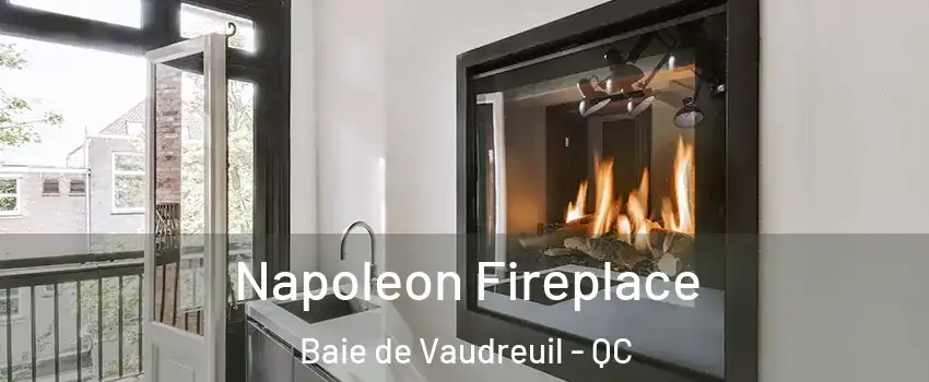  Napoleon Fireplace Baie de Vaudreuil - QC