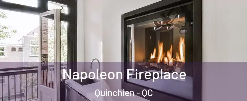  Napoleon Fireplace Quinchien - QC